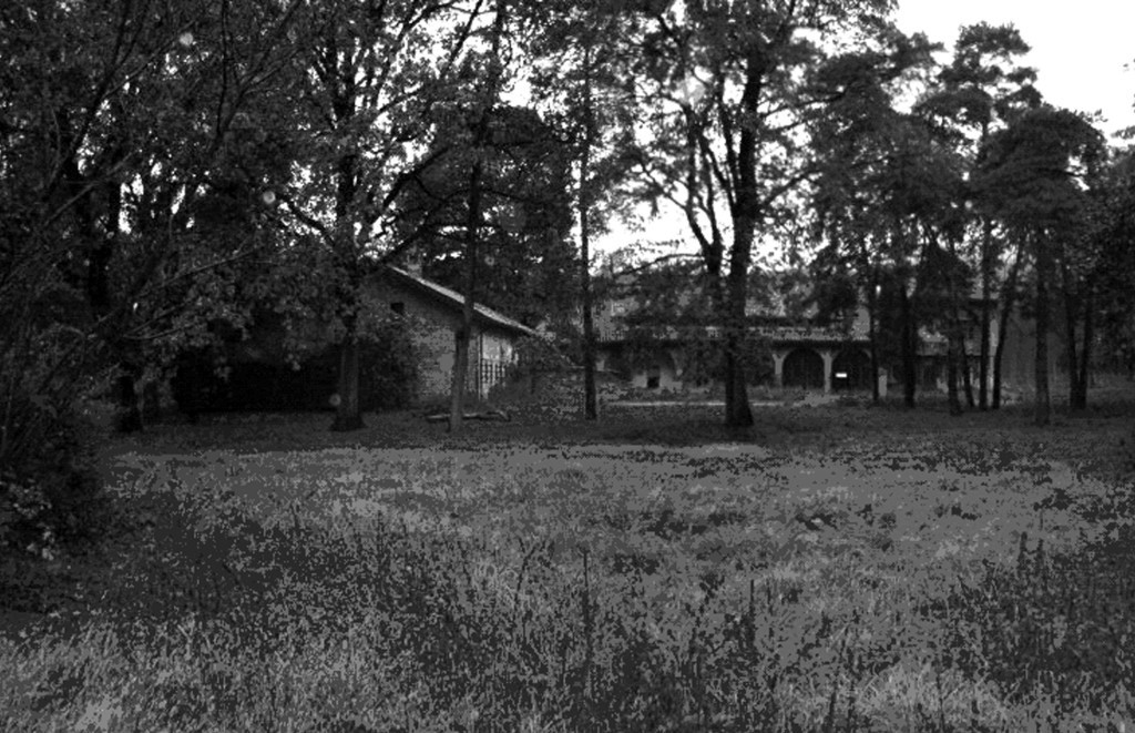 PROGETTO PRELIMINARE, DEFINITIVO ED ESECUTIVO PER I LAVORI DI RESTAURO DELLA CASCINA OSLERA NEL PARCO LA MANDRIA - TORINO